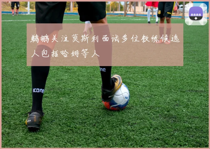 鹈鹕关注莫斯利面试多位教练候选人包括哈姆等人